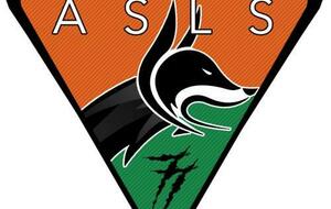 Handball Ass. Sports Loisirs Sourds