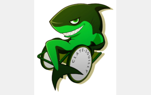 HAND FAUTEUIL CLAYE SOUILLY 77